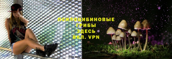 PSILOCYBIN Абдулино