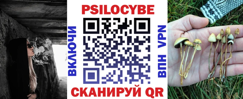 купить  сайты  Елизаветинская  Псилоцибиновые грибы прущие грибы 